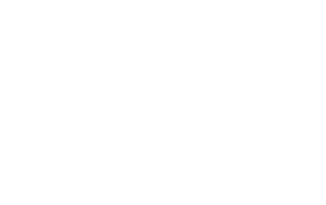 CA5-Icon-Wht